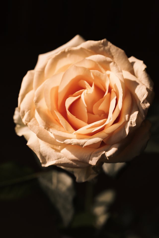 Antonio Silva, born healer and medical intuitive, working with clients worldwide