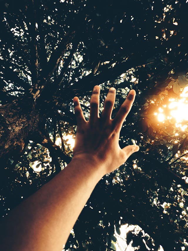 A person at ease in soft natural light, the strain of long-held pain easing