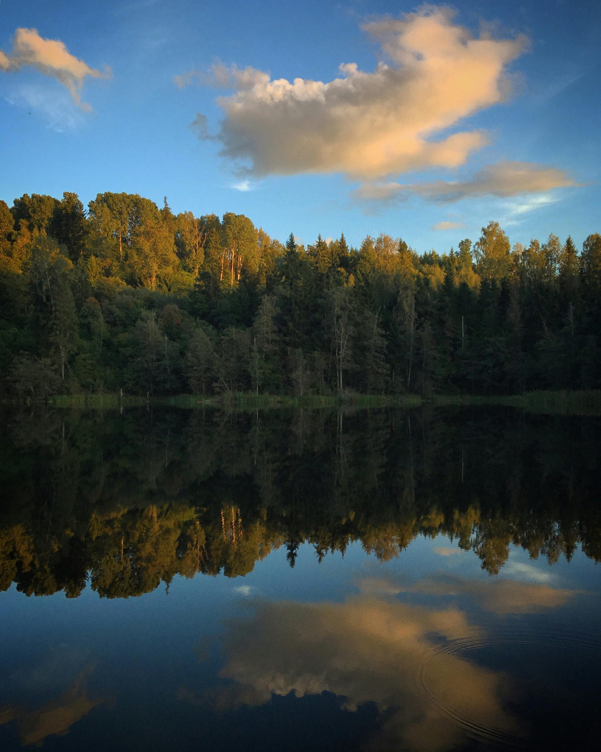 A person at quiet rest in soft, calming light, the body settled and at ease