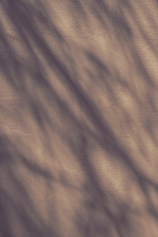 A dimly-lit, peaceful scene with soft, low light and quiet stillness